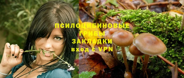 бутират Каменка