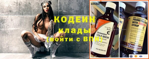 хмурый Каменногорск