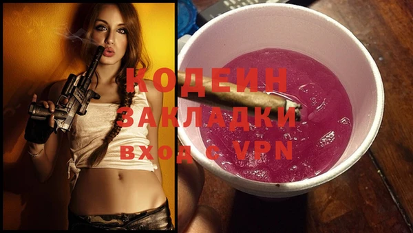 хмурый Каменногорск