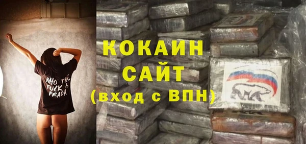 хмурый Каменногорск